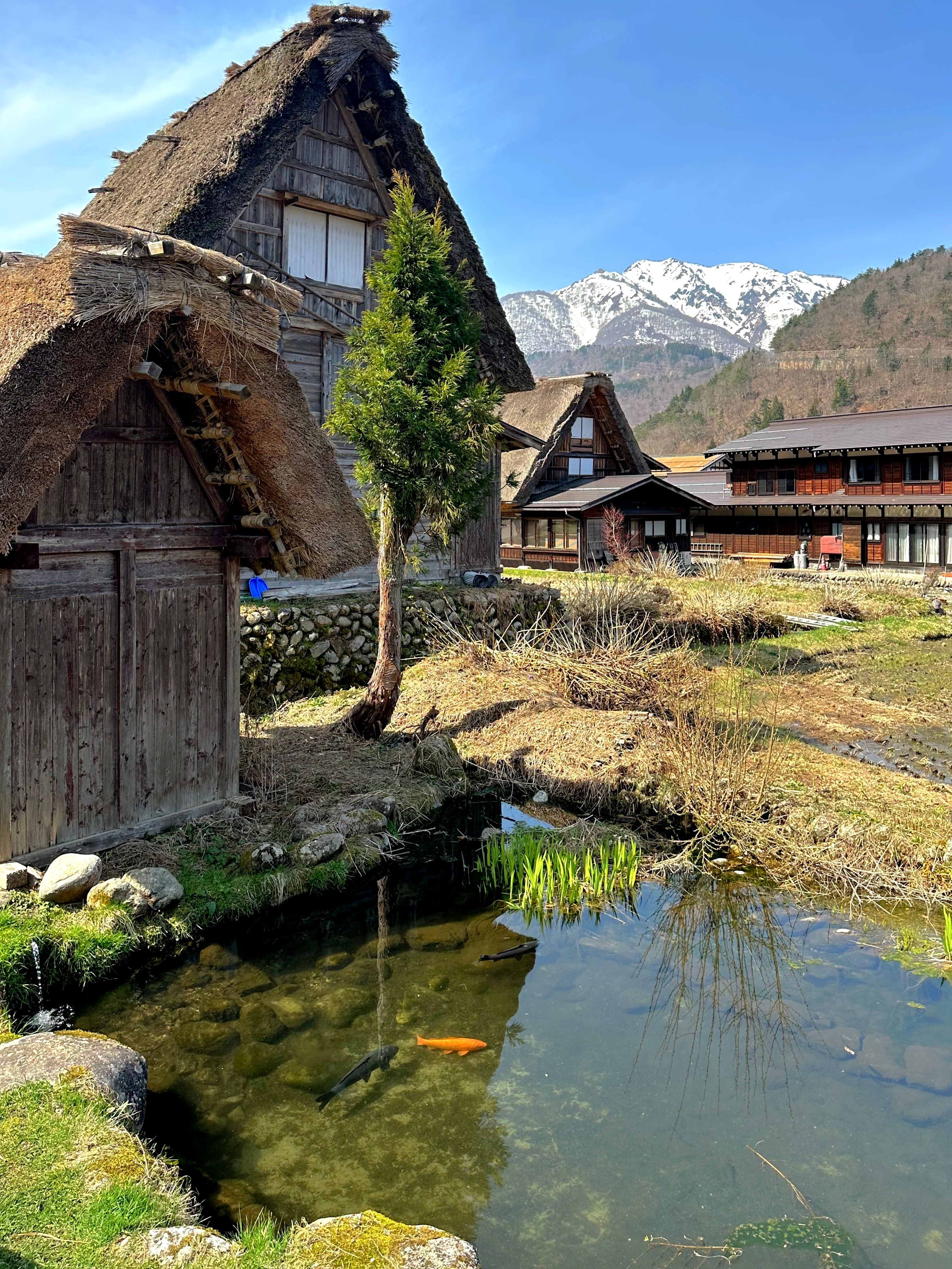 Casas tradicionales de Shirakawa-go